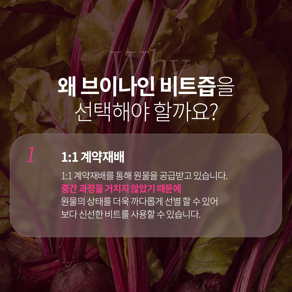 브이나인 국내산 물 없이 만든 착즙 비트즙 100mL X 25포 1박스