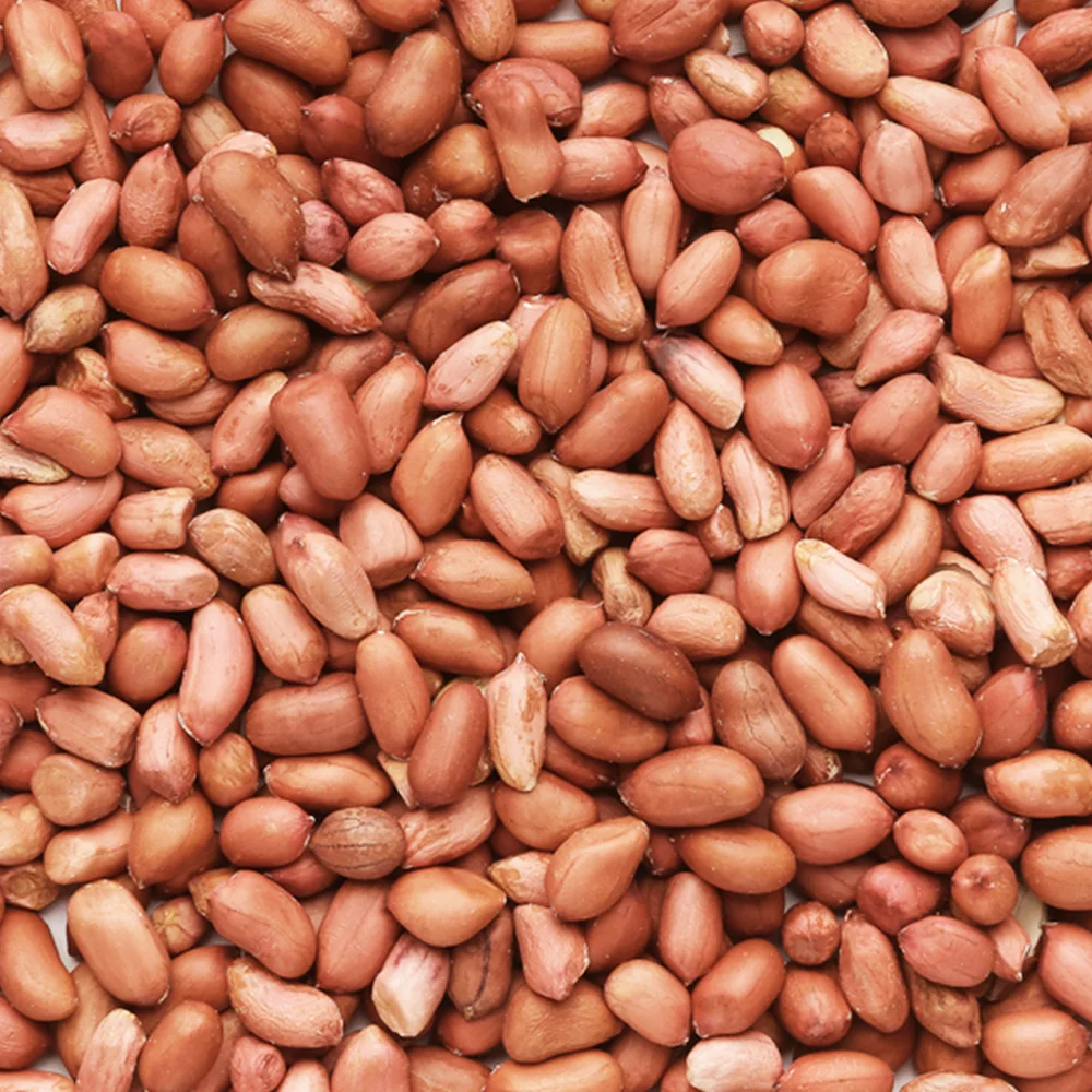 미다몰 볶음 땅콩 1kg+1kg