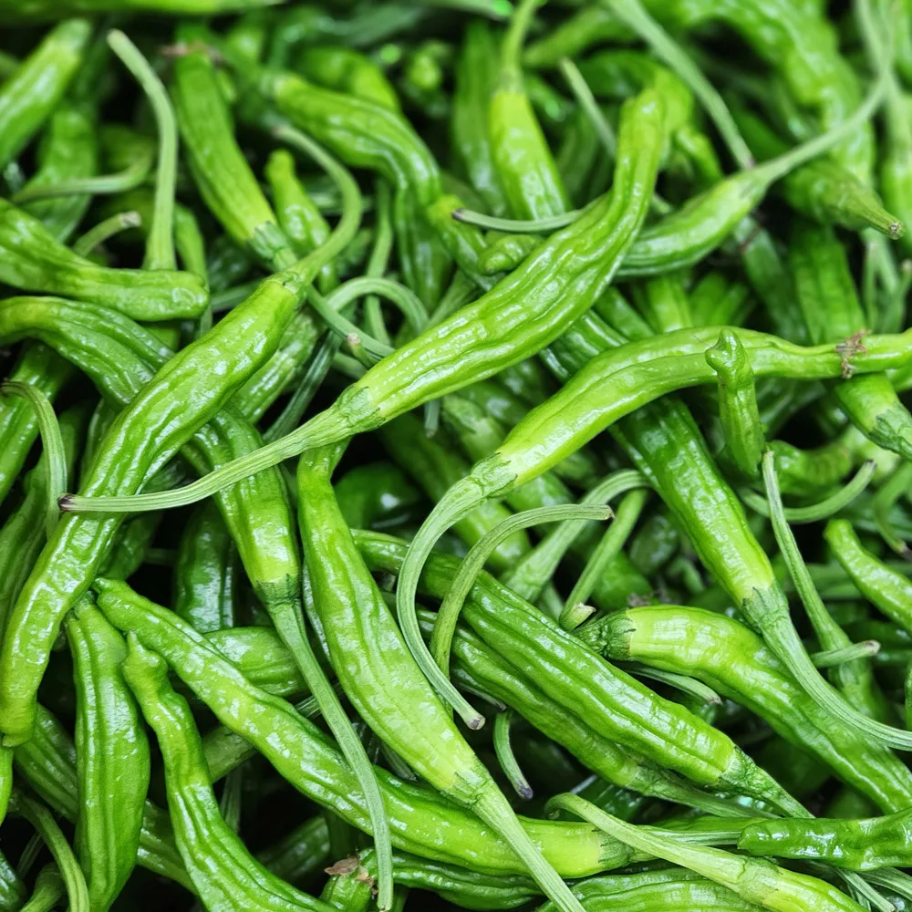 Pimiento Picante Coreano Especial, 500g, 1kg, 2kg, 3kg, 4kg, 10kg