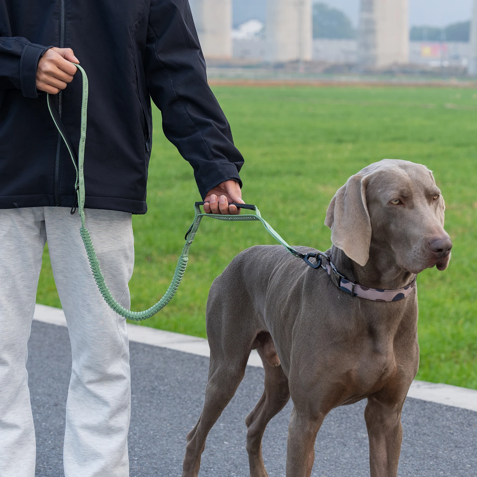 Taktische Hundeleine Robuste Reflektierende Starke Anti-Zug Bungee-Leine für Mittelgroße und Große Hunde mit Komfortablem Gepolstertem Doppelgriff – Detail 13