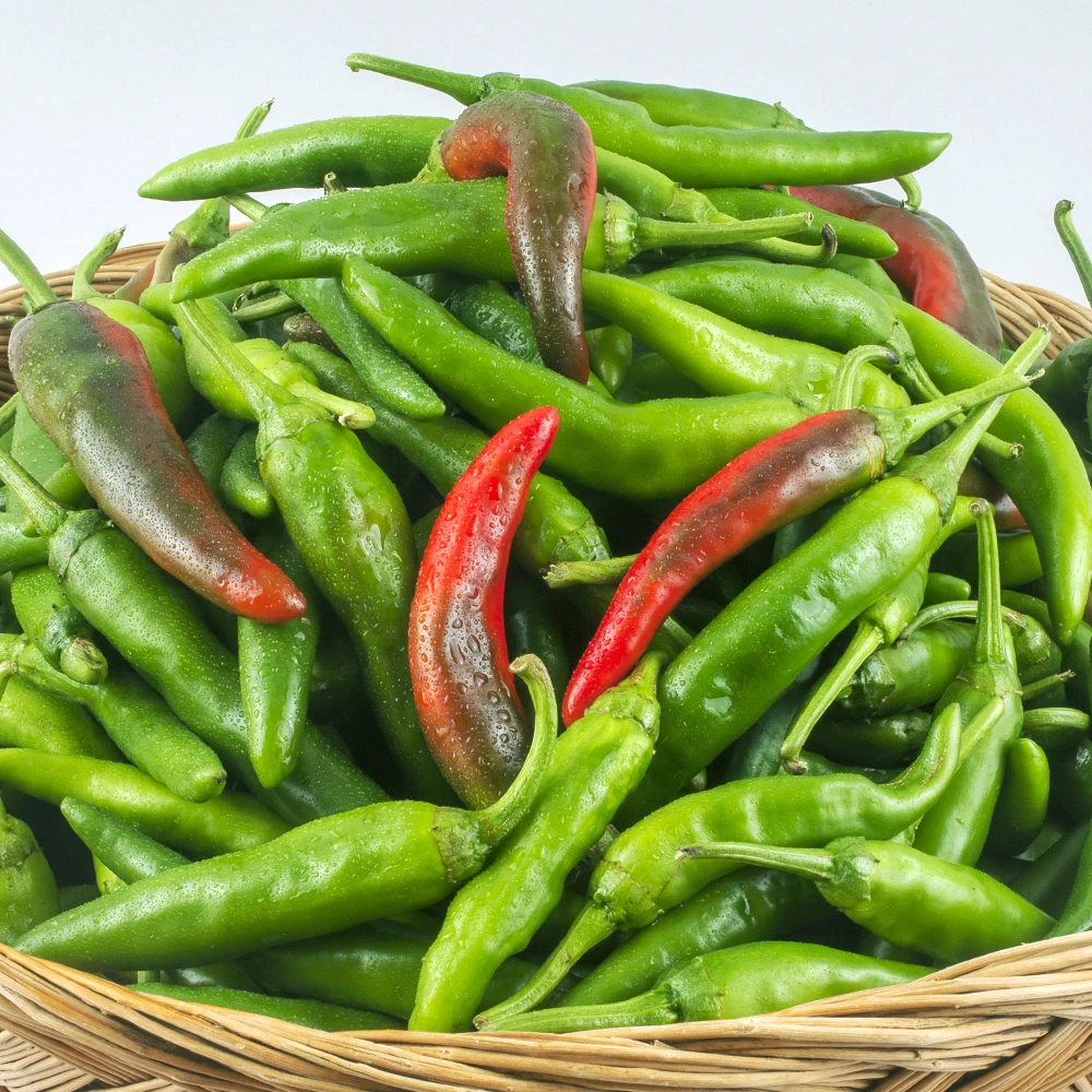 سانجي بلس فلفل شيونغيانغ المحلي 1 كجم، مباشرة من المزرعة/المنطقة