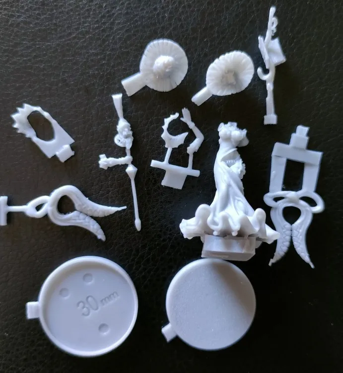 Buyer photo of this resin kit