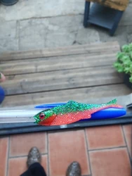 Imagen de reseña 4