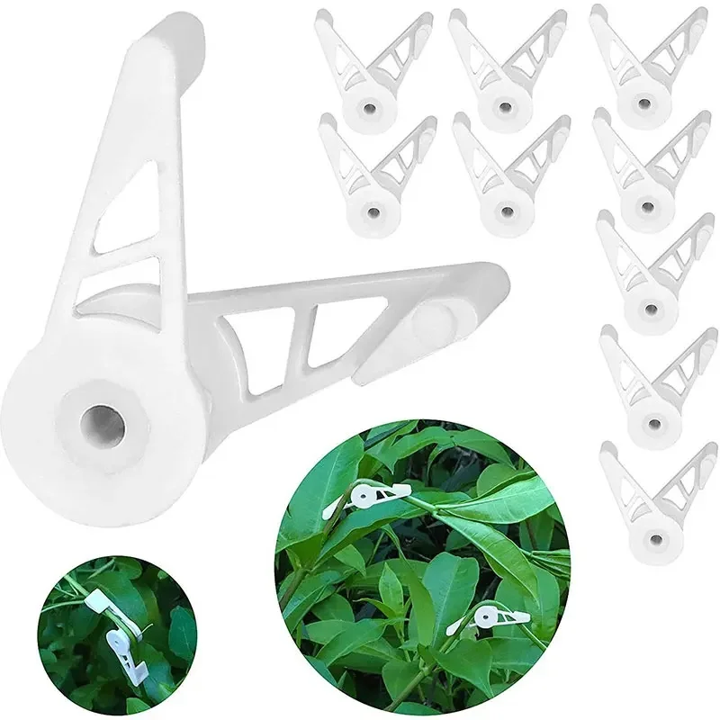 Cintreuse de plantes à 360 degrés, Supports réglables, Clip fixe pour arbres fruitiers et fleurs, fournitures de jardinage, outils, 10/30 pièces