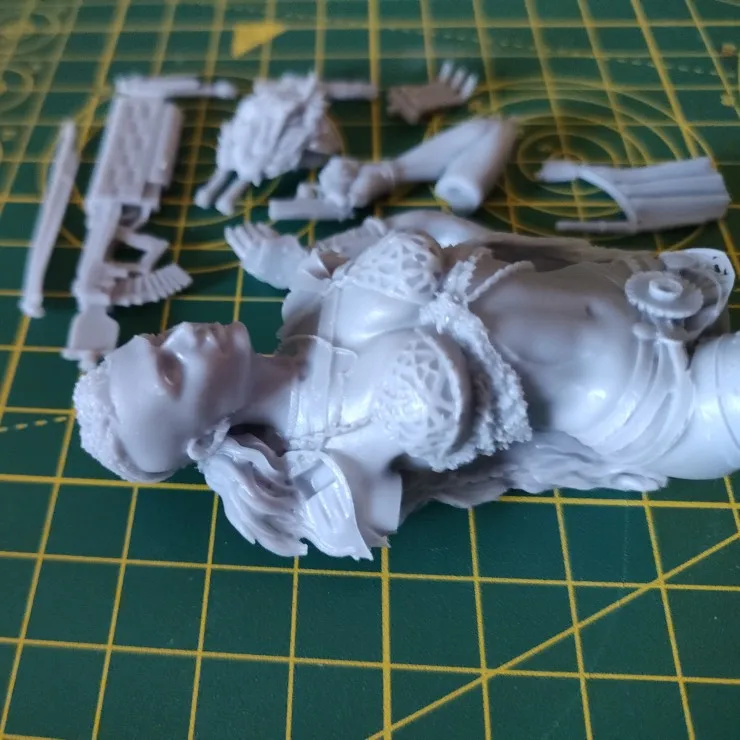 Buyer photo of this resin kit