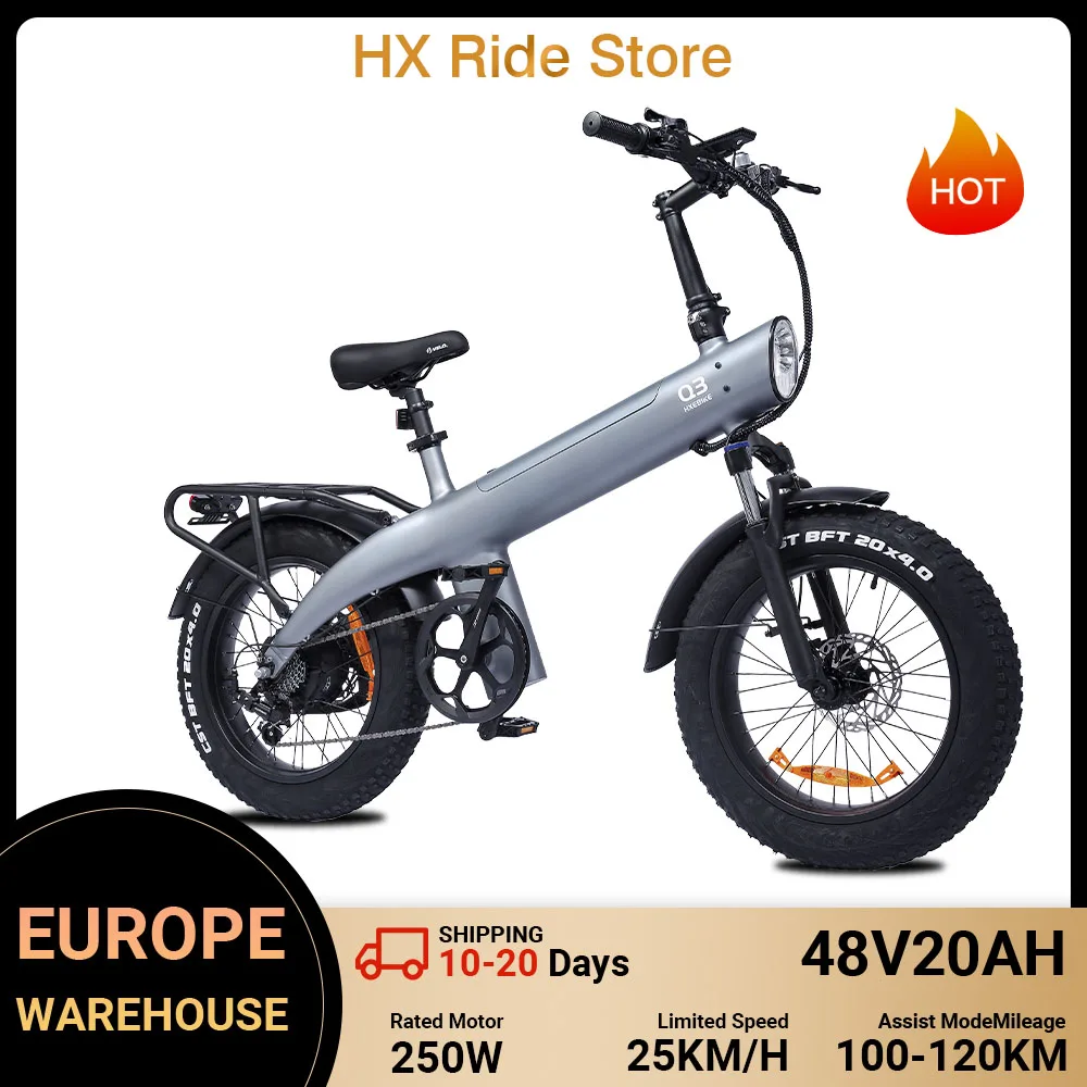 Vélo électrique HX Q3 250W pour adultes, vitesse limitée à 25 km/h, batterie amovible 48V 20Ah, pneus larges de 20 pouces, couple élevé de 115 Nm, vélo électrique