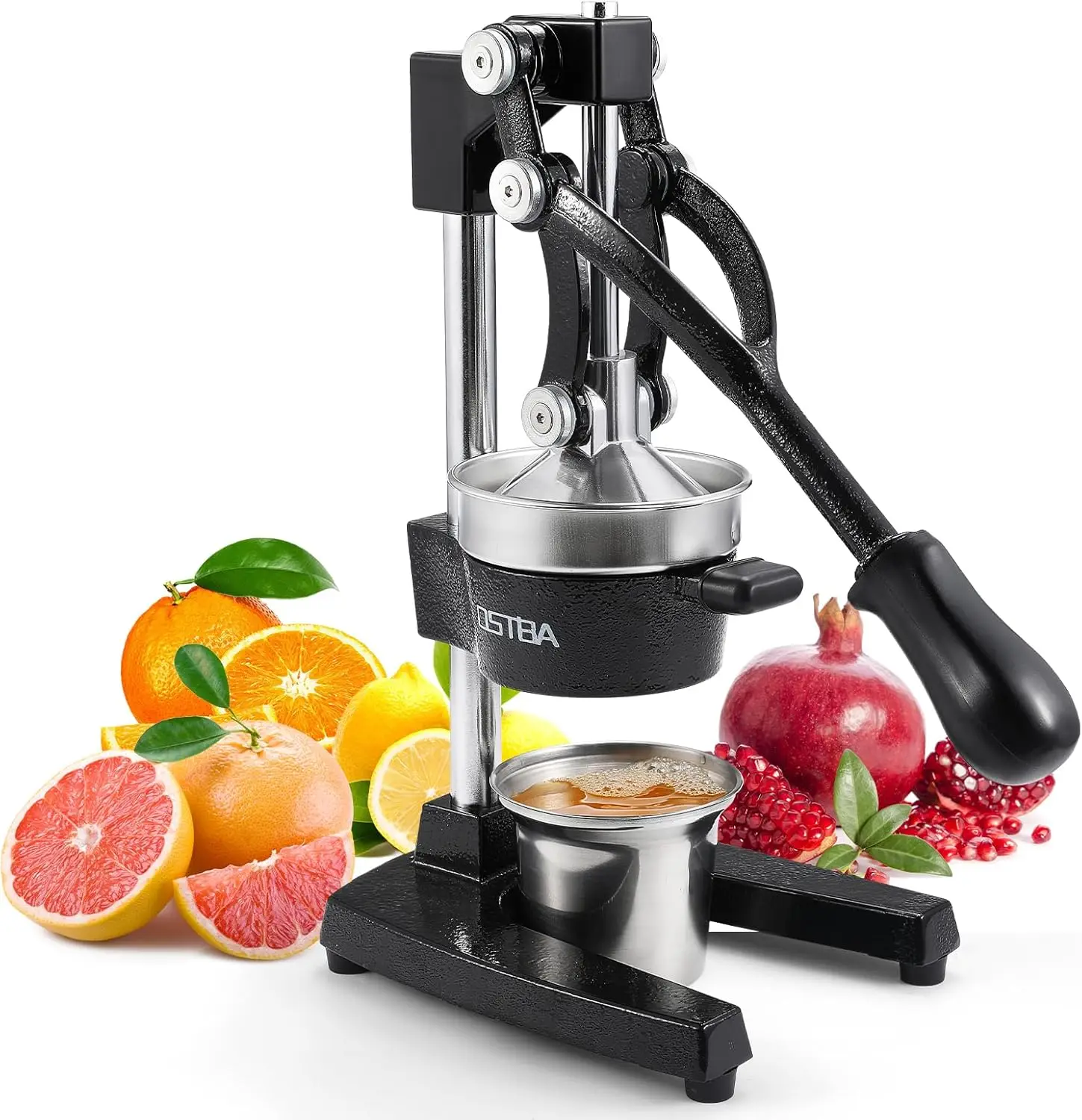 Storcător cu Melc Slow Juicer RAF R.2831, Suc cu Vitamine Păstrate
