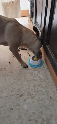 실물 포토 리뷰