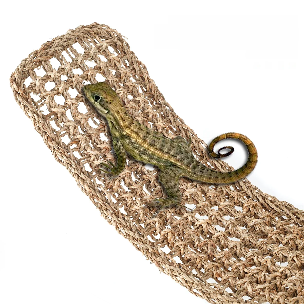 Hamak dla gadów Terrarium Dekoracja Jaszczurka Leżak Kraby Geckos Wisząca huśtawka Łóżko Ptaki Maty dla gadów Huśtawki dla zwierząt Zabawki dla zwierząt domowych — zdjęcie 2