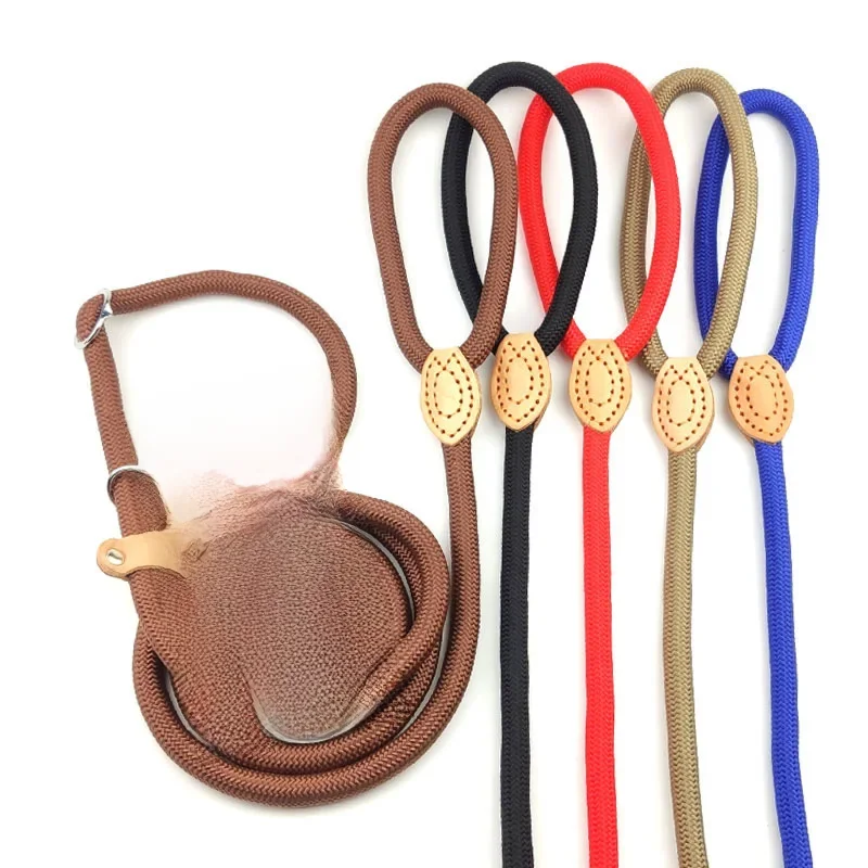Hondenriem Sliptouw Lead Leash Heavy Duty gevlochten touw Verstelbare luskraag Trainingsriemen voor kleine middelgrote honden - afbeelding 2