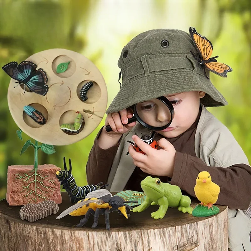 AliExpress Children Simulation Biology Model Toy Animal Plant Life Growth Cycle Montessori Children Toys Set Teaching Aids Educational Toys