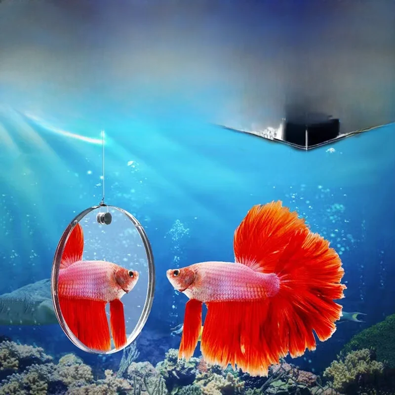 Akrylowe lustro do akwarium Betta Pływające okrągłe lustro do akwarium dla ryb Betta Flowerhorn Cichlid Training 4cm/5cm/6cm/7cm/8cm/9cm — zdjęcie 2