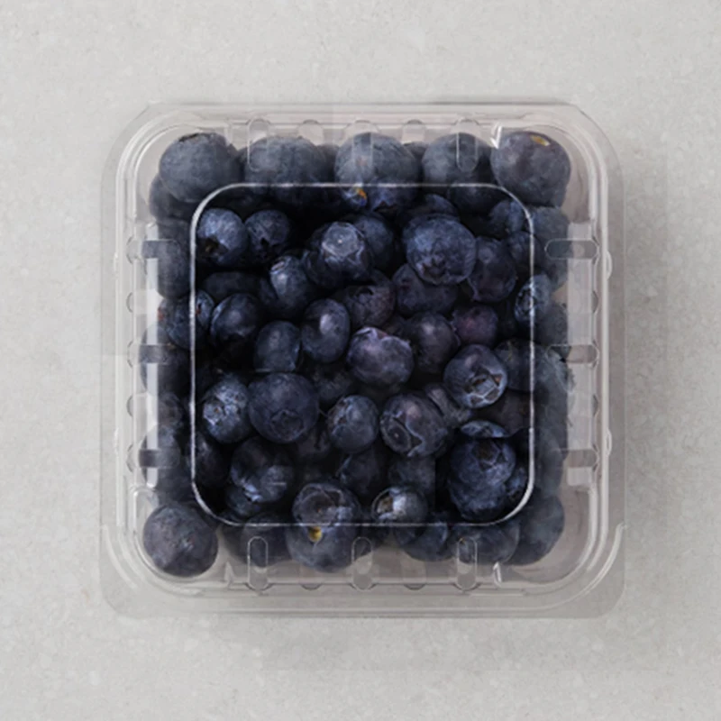 Sun Lizi) High sugar Canada/USA/Chile high blueberry jumbo size 375g (125 gX3 pack)