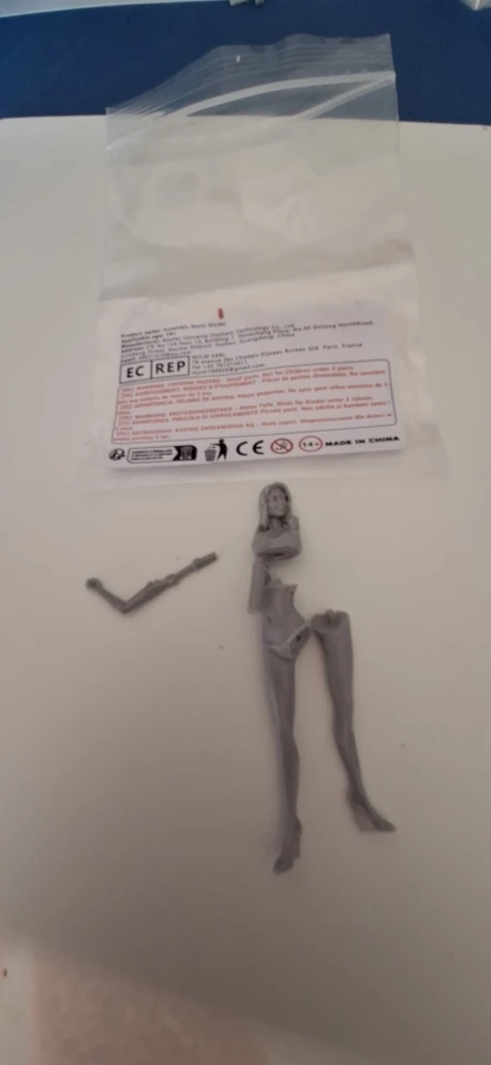 Buyer photo of this resin kit