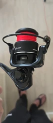 Imagen de reseña 4