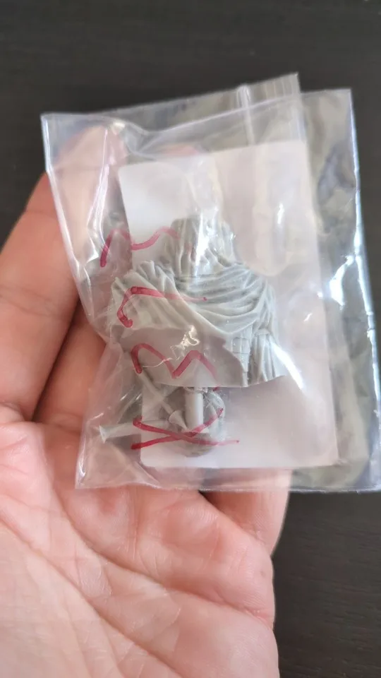 Buyer photo of this resin kit