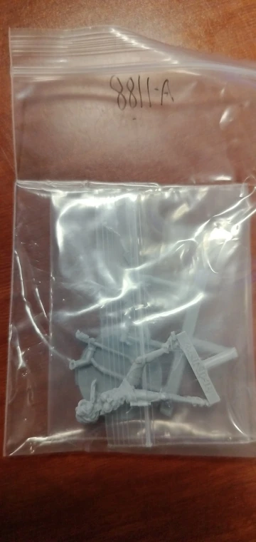 Buyer photo of this resin kit