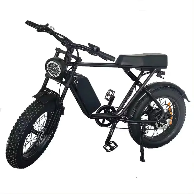 Betaalbare Prijs Voor 750W 48V 1000W Weg & Dirt Hybride Mountain Fat-Band E-Bike