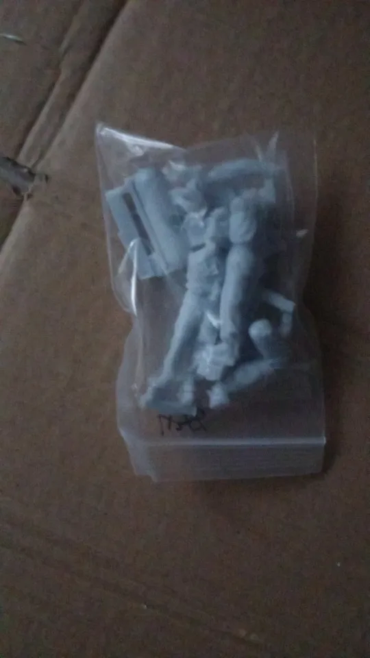 Buyer photo of this resin kit