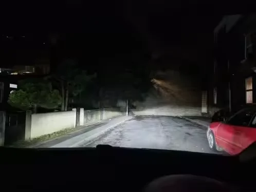 리뷰 사진