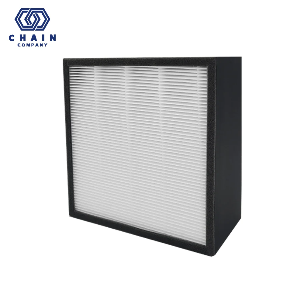 Balmuda The Pure Air Puriator Filter A01B P100