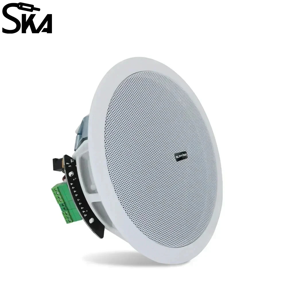 6-calowy głośnik o mocy 20 W. Połączenie z Iphone'em. Głośniki sufitowe Bluetooth. Odporny na wilgoć domowy system audio dla domowego biura hotelowego