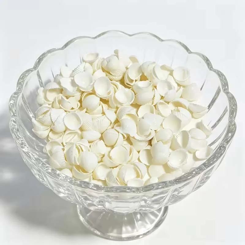 25pcs Sea Shells for Decorating,Tiny Seashells for Crafting Natural Scallop Shells for Crafts, Home Decor Vase Fillers White