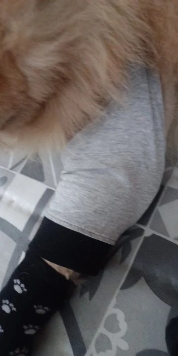 실물 포토 리뷰