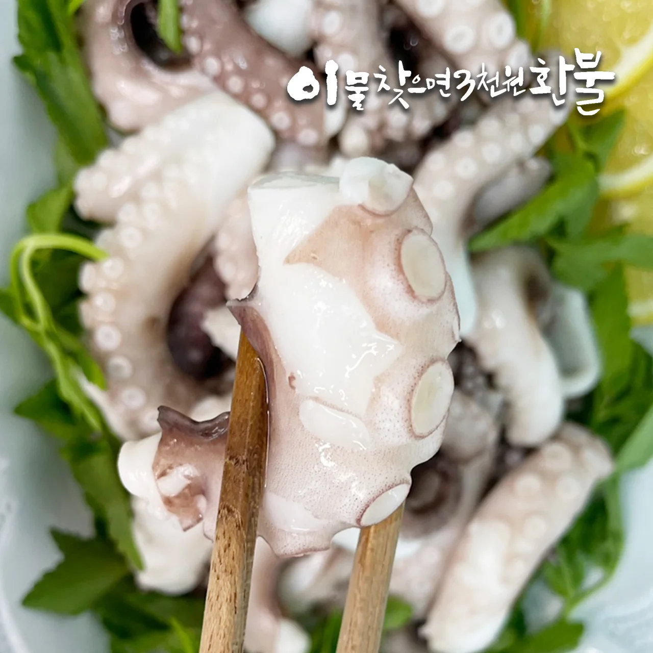 손질 왕특대(XXL) 낙지 900g(450g×2팩)｜낙지볶음(자갈치비법소스2봉) - 5