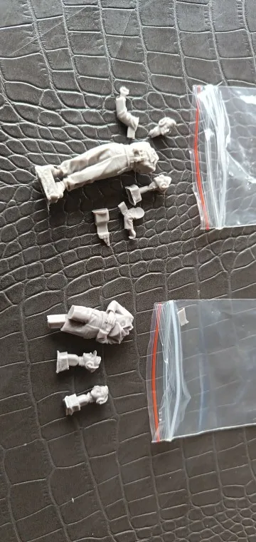 Buyer photo of this resin kit