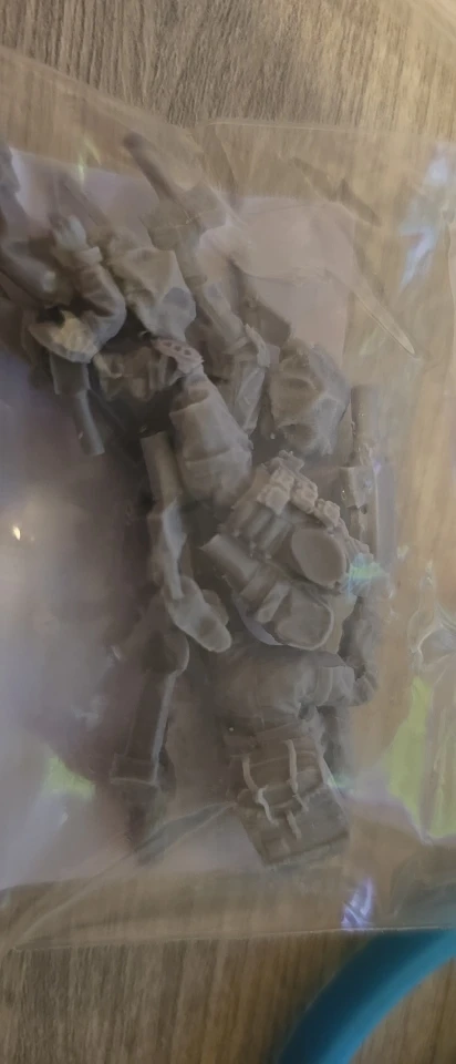 Buyer photo of this resin kit