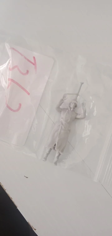 Buyer photo of this resin kit