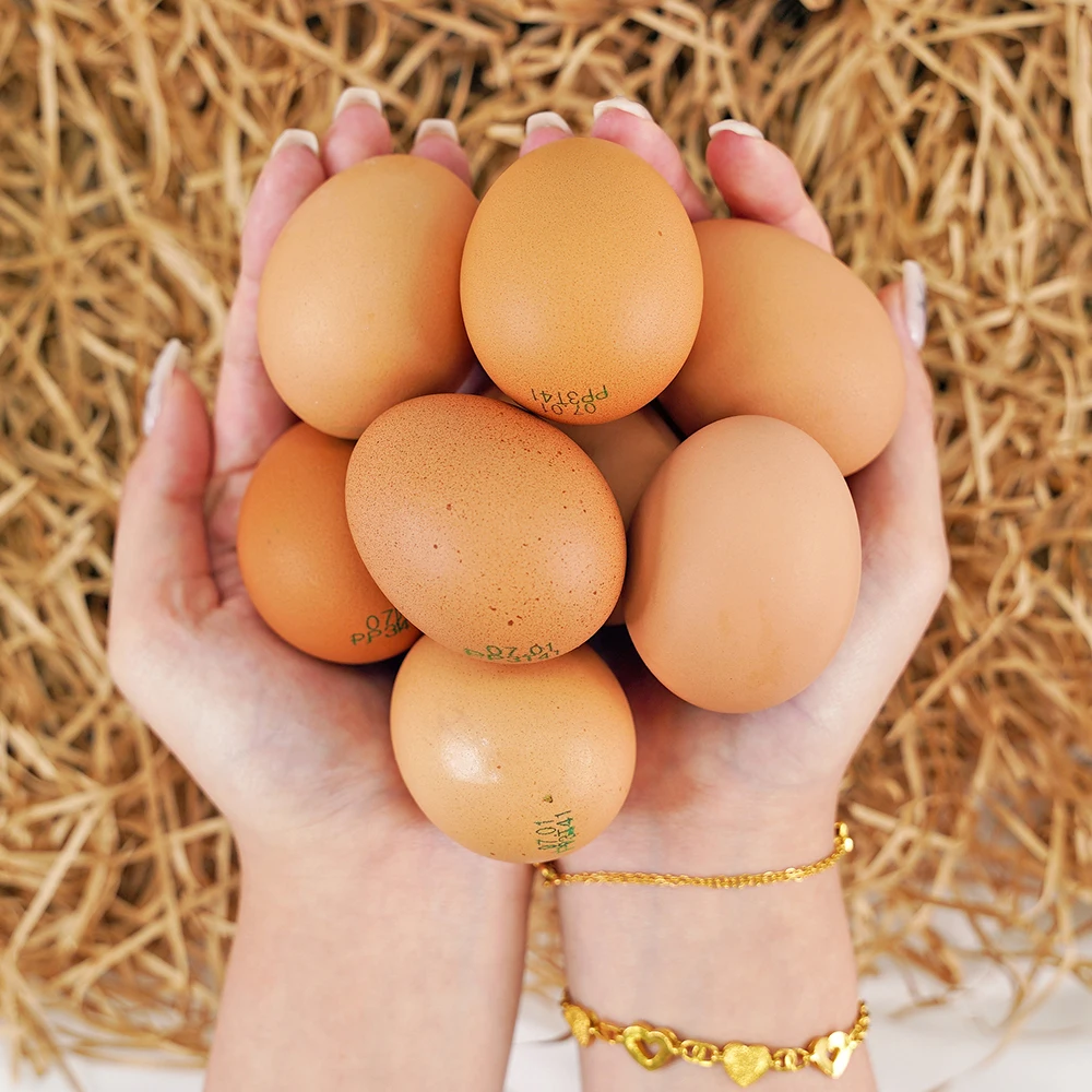 بيض الإشعاع الطبيعي ، قشر البيض العضوي الخالي من المضادات الحيوية ، رقم 1 ، 20 ، 40 ، 60 #6