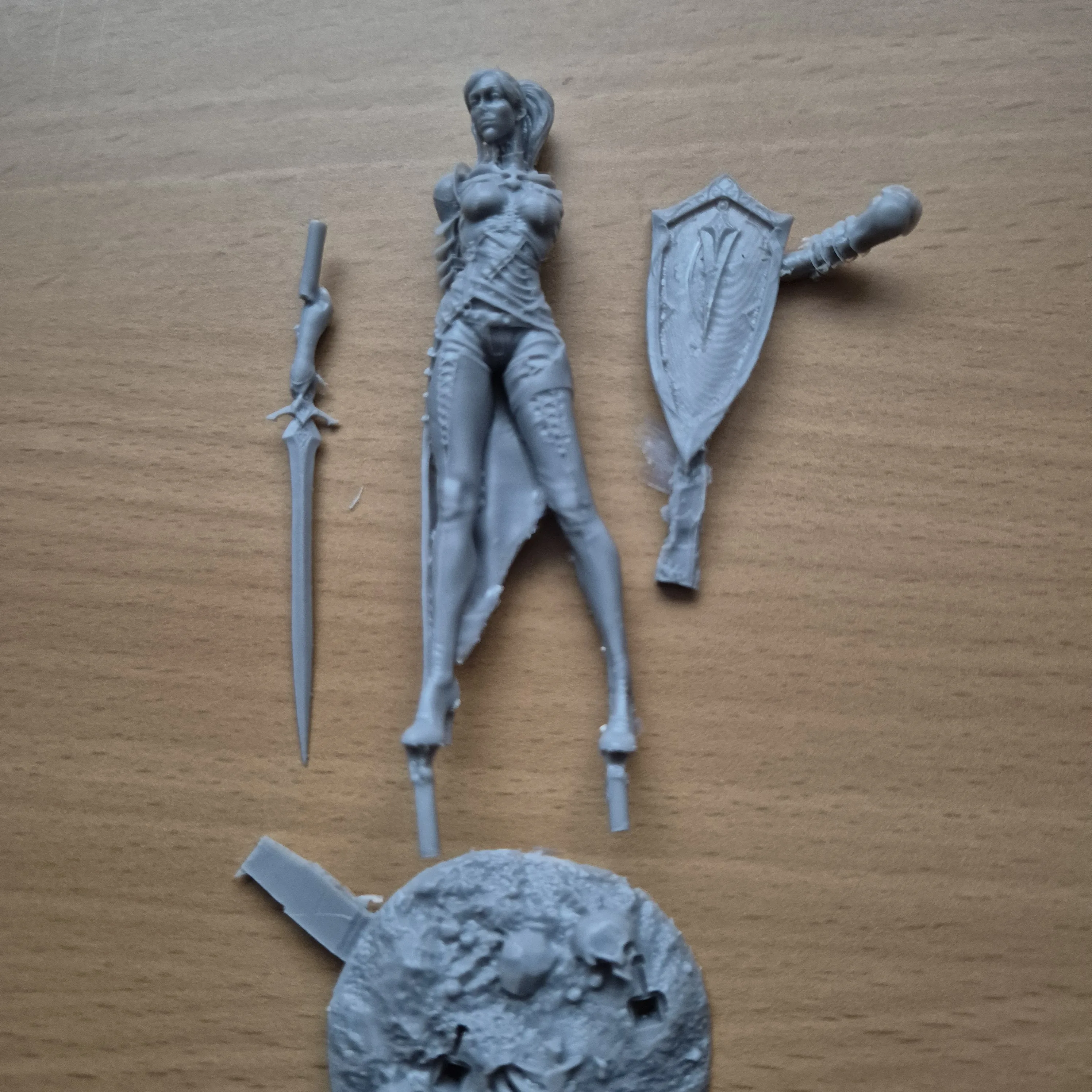 Buyer photo of this resin kit