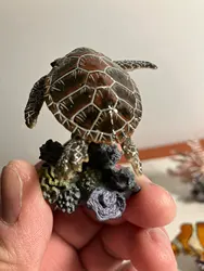 Imagen de reseña 5