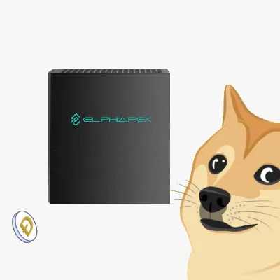 

Buy 3 get 2 free New ElphaPex DG Home 1 2100MHs Scrypt Miner Litecoin Dogecoin Dual Mining High Margin Home Doge Mining