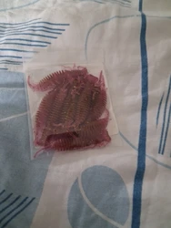 Imagen de reseña 1