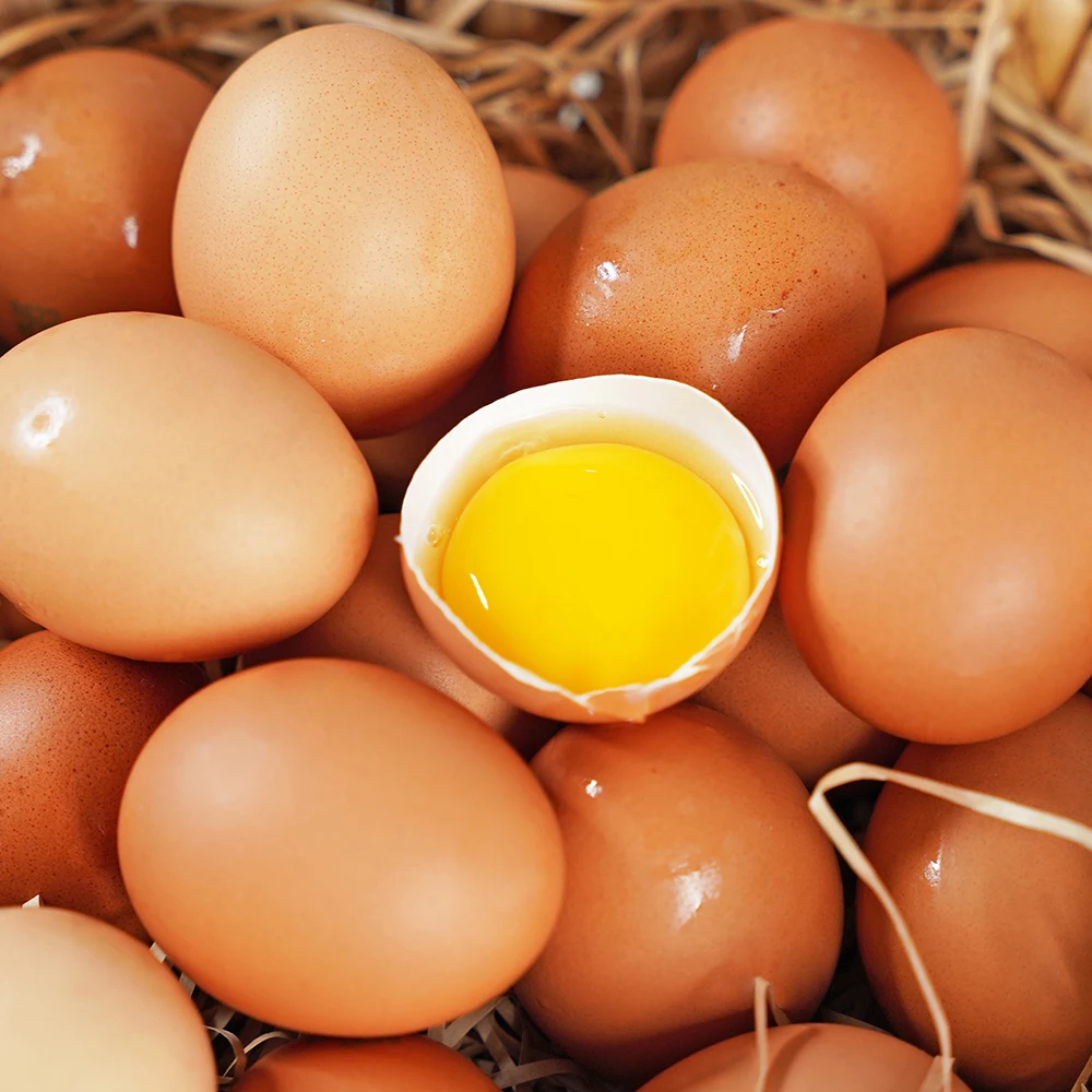بيض الإشعاع الطبيعي ، قشر البيض العضوي الخالي من المضادات الحيوية ، رقم 1 ، 20 ، 40 ، 60 #1