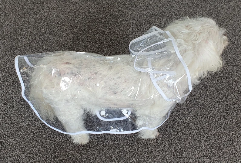 Customer review photo for Clear Water-Resistant Dog Raincoat with Harness Opening
