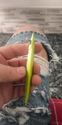 Imagen de reseña 2