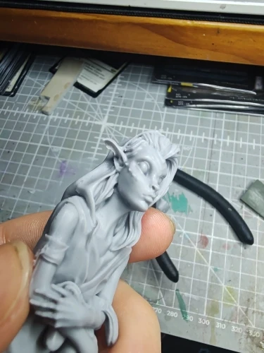 Buyer photo of this resin kit