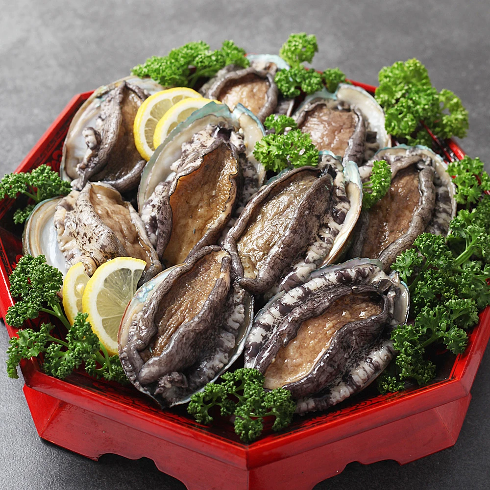 Wando Arco 1kg 12-14 mi