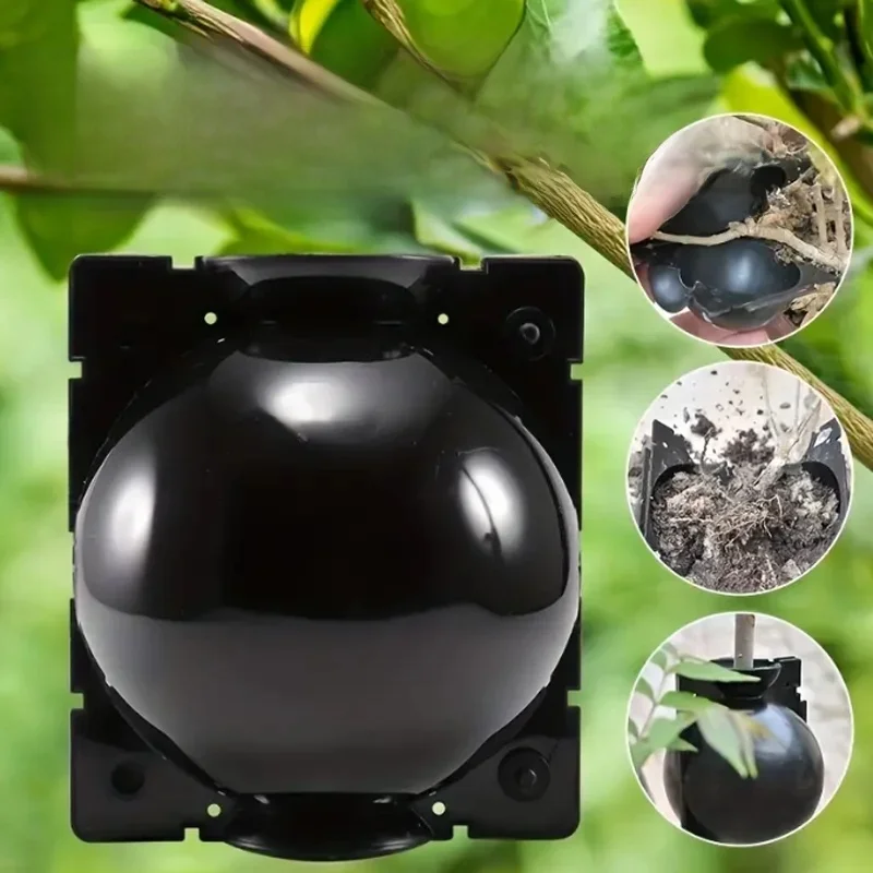 Garden Orchard Plants Grafting Rooting Box Reusable Cutting Garden Rooting Clone Propagation Ball Breeding Equipment for Sapling