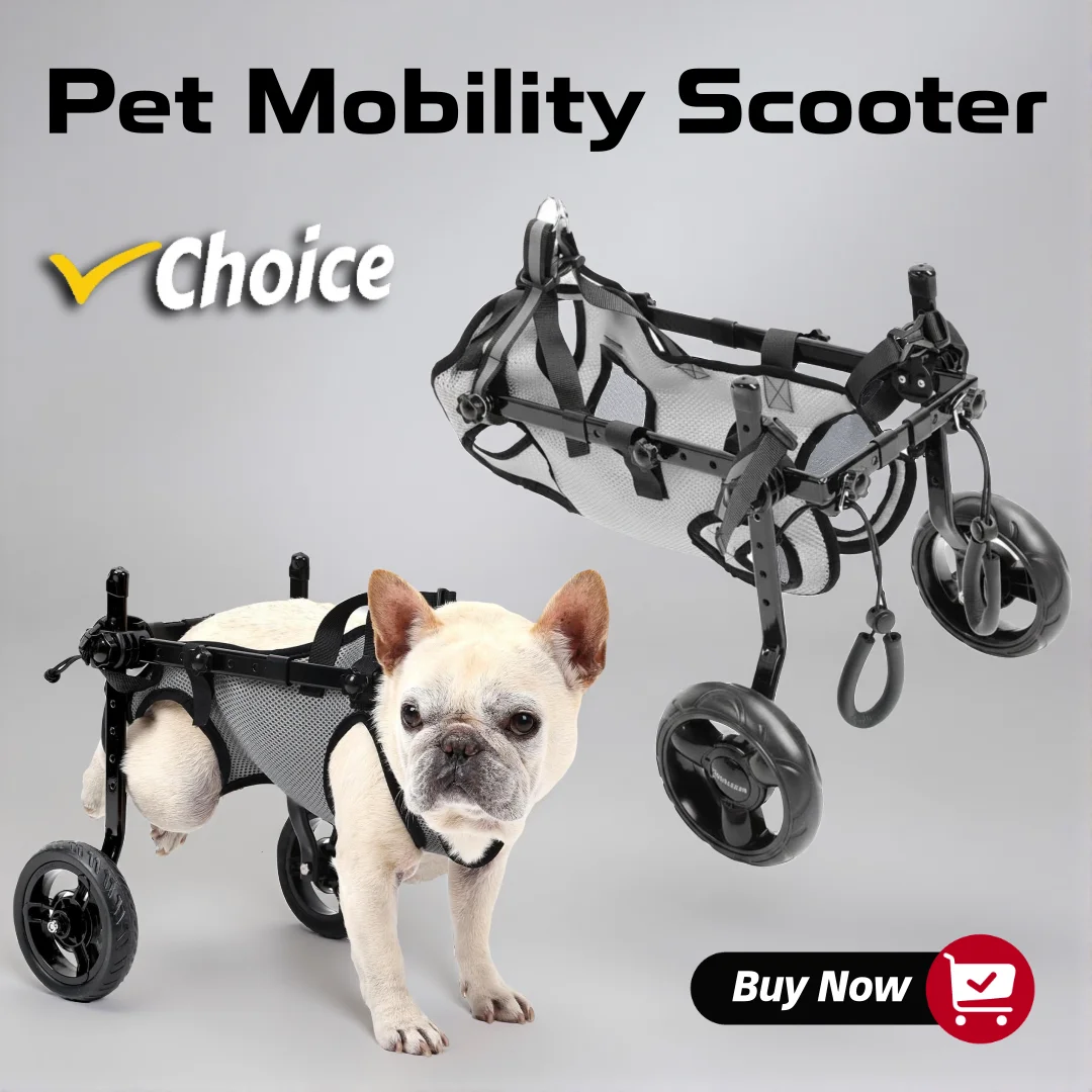 carrozzina-per-cani-con-paralisi-alle-zampe-posteriori-scooter-per-animali-disabili-supporto-per-la-riabilitazione-di-cani-e-gatti