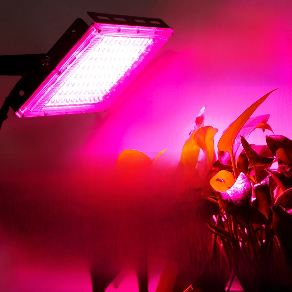 Led Grow Light Plant Hydroponic Lamp LED Full Spectrum 220V LED Phytolamps Light Greenhouse Seeds Flower Grow Lighting 50W 100W