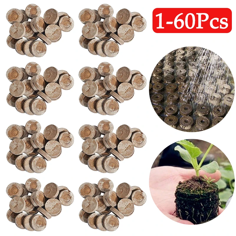 1-60Pcs 30mm Sämling Keimung Boden Blöcke Sämling Nährstoff Blöcke Komprimiert Torf Boden Pellets Für Pflanzen Garten liefert