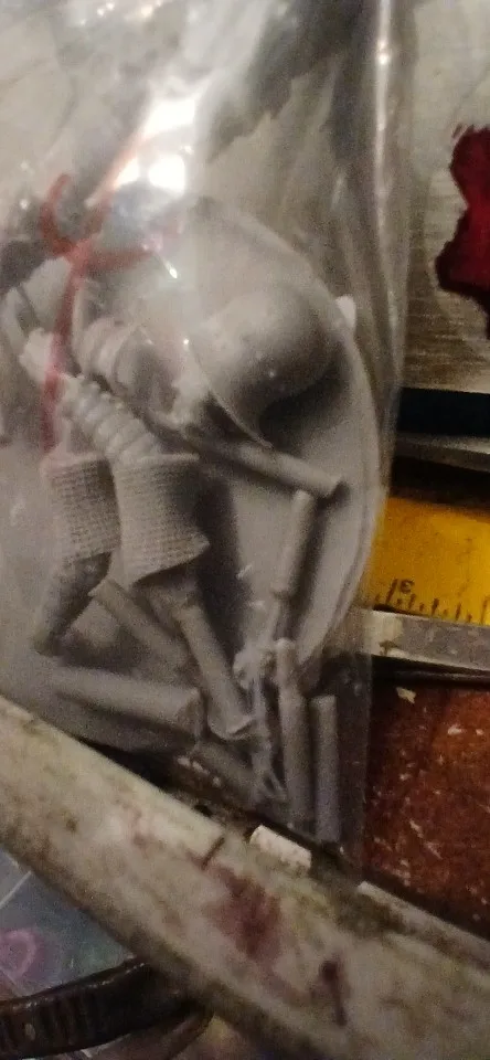 Buyer photo of this resin kit
