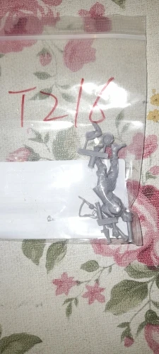 Buyer photo of this resin kit