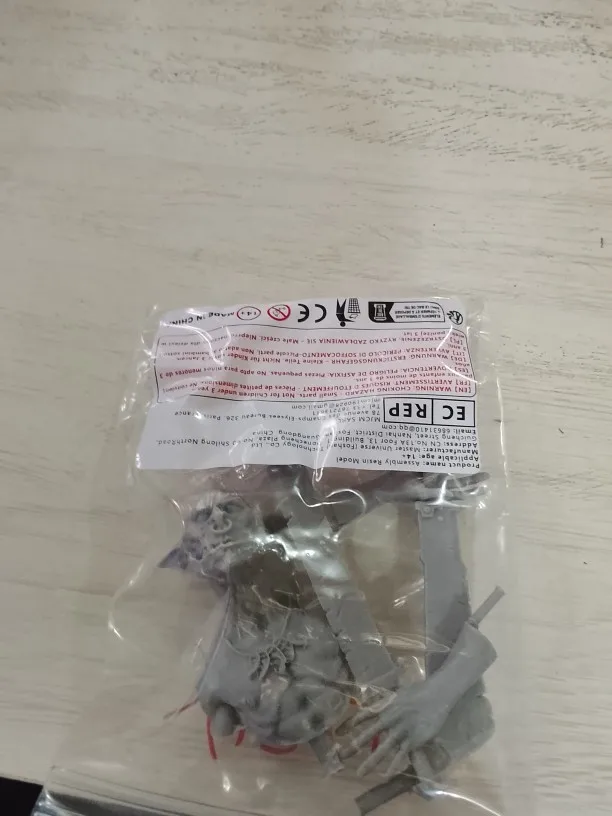Buyer photo of this resin kit