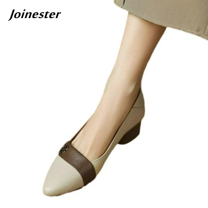 

Women Artificial Leather Pointed Toe Slip on Vintage Loafer Ladies Low-Heel Dress Shoe Soft Rubber Sole Pumps